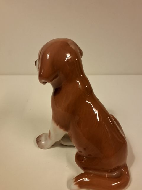 B & G " Hund "